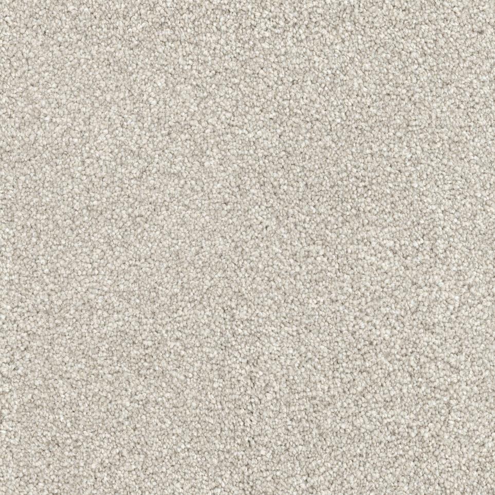 Textured Saxony Pomeranian Beige/Tan Carpet