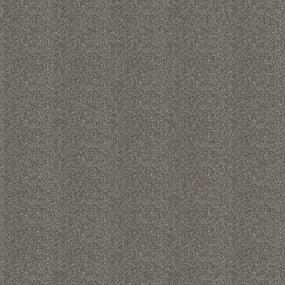 Textured Saxony DESERT VIEW Gray Carpet