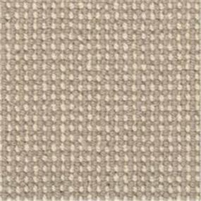 Pattern Rolling Stone Beige/Tan Carpet