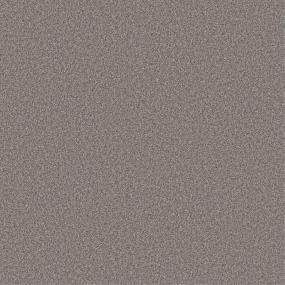 Texture Pebble Gray Carpet