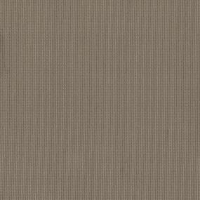 Loop Tundra Brown Carpet