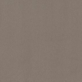 Pattern Natural Beige/Tan Carpet