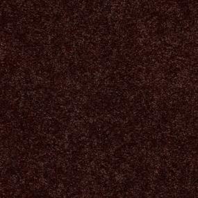 Textured Saxony Fudgesicle Brown Carpet