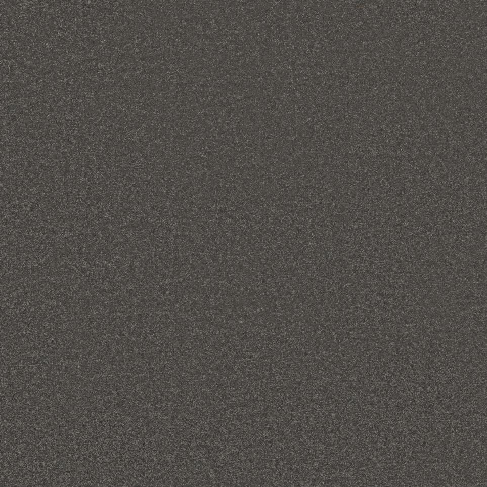 Textured Saxony Briar Root Gray Carpet