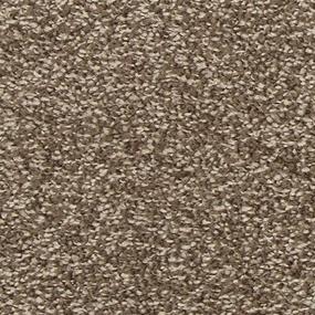 Texture Story Time Brown Carpet