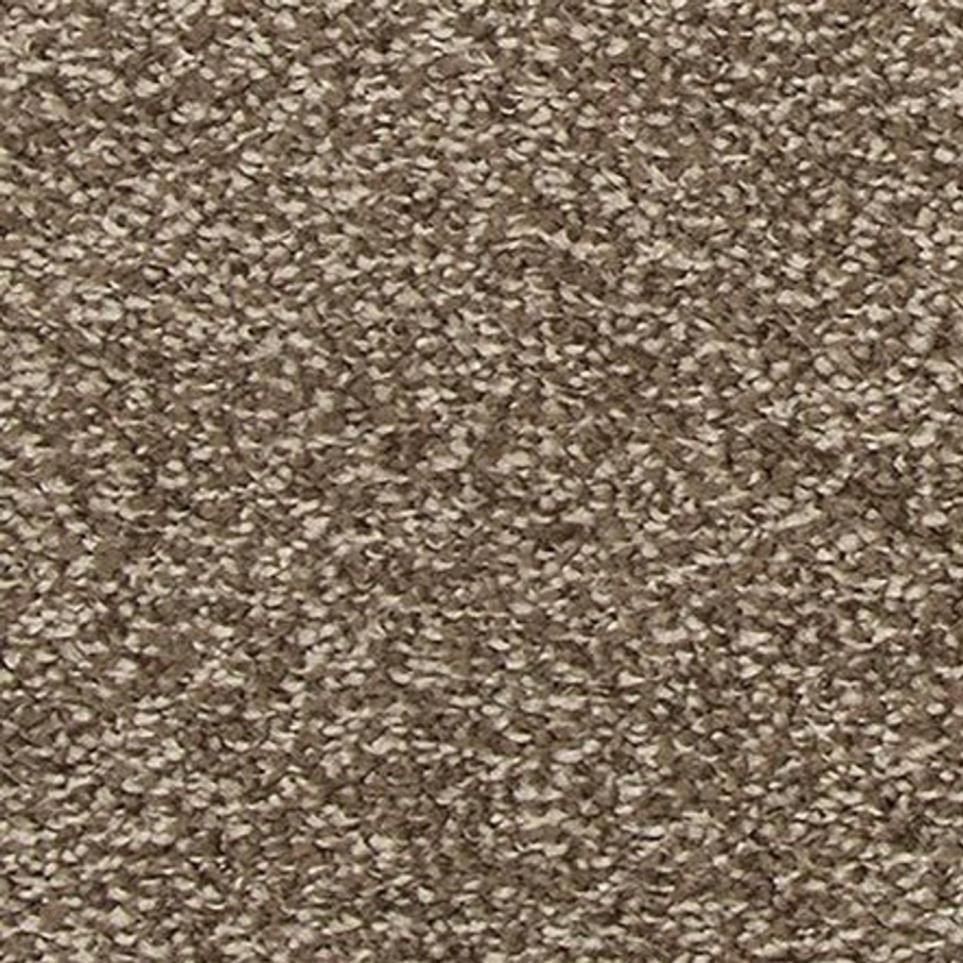 Textured Saxony Story Time Brown Carpet