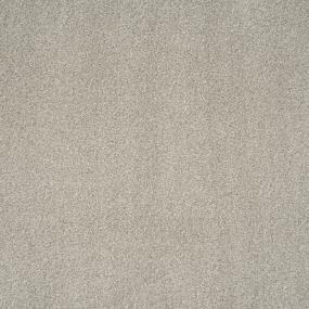 Textured Saxony Days End Beige/Tan Carpet
