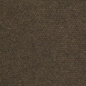 Specialty Camelback Brown Carpet Tile