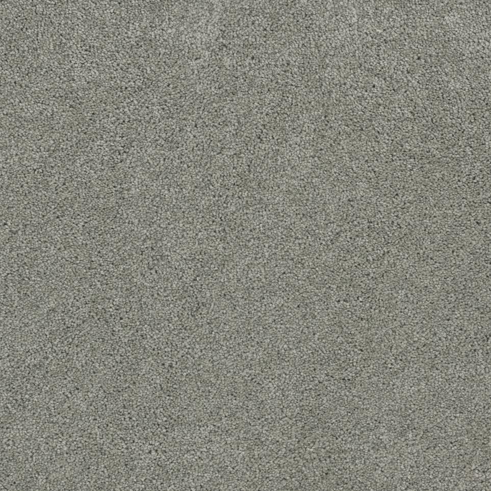 Texture Garden View Gray Carpet