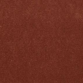 Cut Pile Cedar Chest Red Carpet
