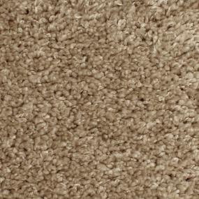 Textured Saxony Worthy Beige/Tan Carpet