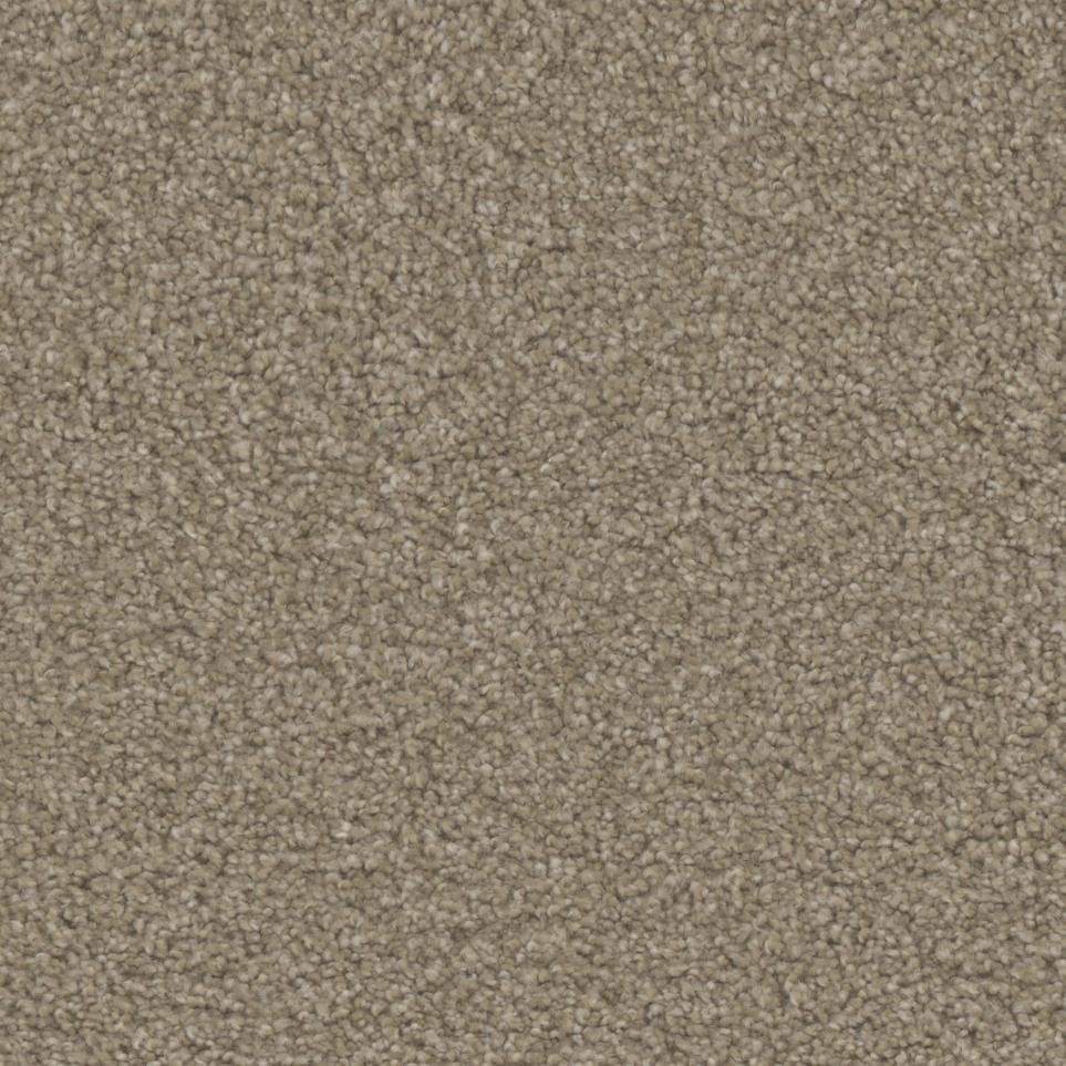 Texture Worthy Beige/Tan Carpet