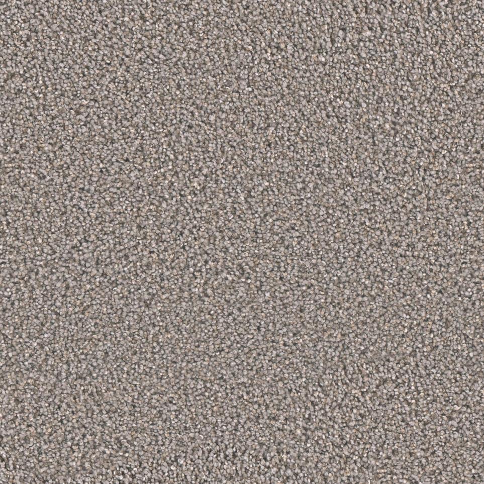 Texture Trade Winds Beige/Tan Carpet