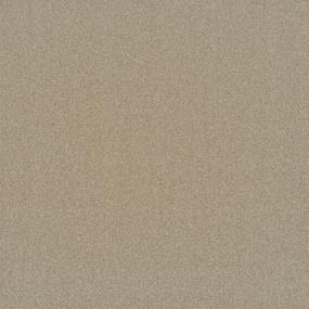 Textured Saxony Camelite Beige/Tan Carpet