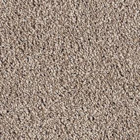 Textured Saxony Regal Brown Carpet