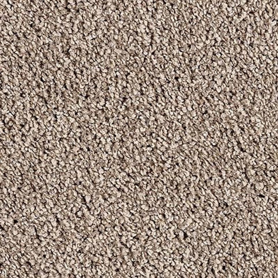 Textured Saxony Regal Brown Carpet