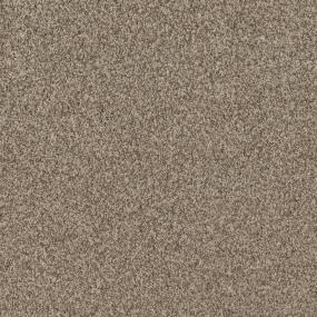 Casual Texture Almond Branch Beige/Tan Carpet