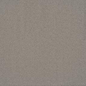 Casual Texture Driftwood Beige/Tan Carpet