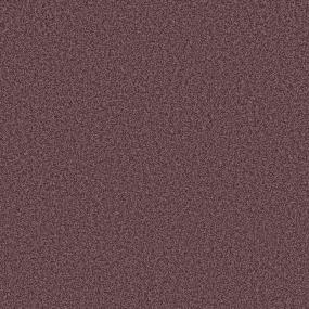 Textured Saxony Tuscany Red Carpet