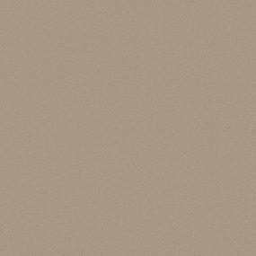 Texture Canoe Beige/Tan Carpet
