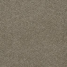 Textured Saxony Spectrum Brown Carpet