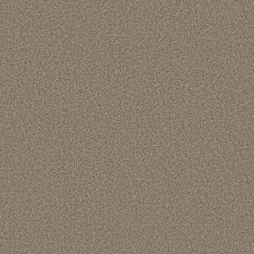 Texture Pecan Beige/Tan Carpet