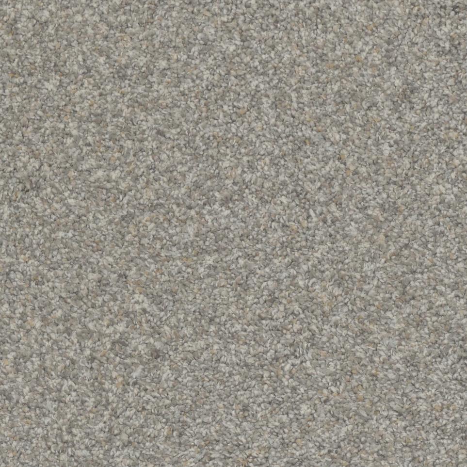 Texture Trust Beige/Tan Carpet