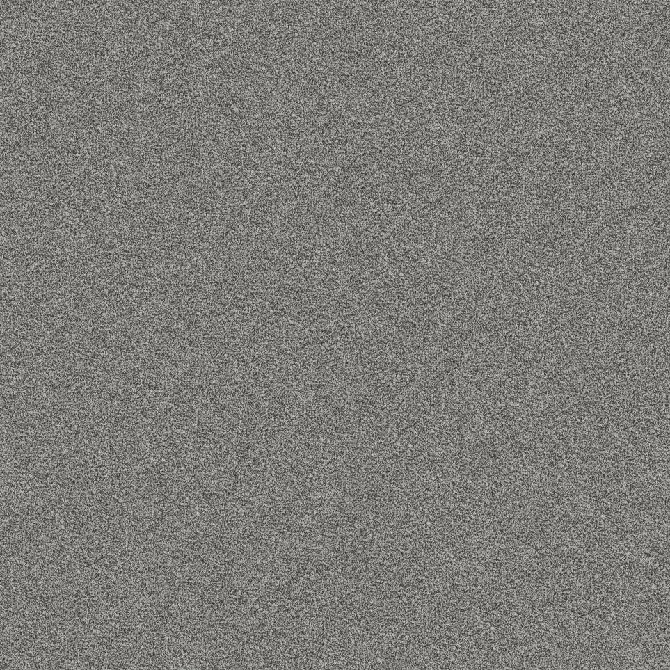 Plush Grounded Gray Carpet