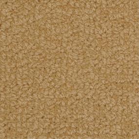 Loop Padgett Beige/Tan Carpet