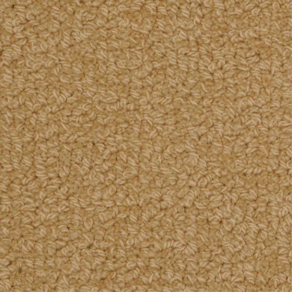 Loop Padgett Beige/Tan Carpet