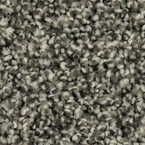 Textured Saxony Stone Path Gray Carpet
