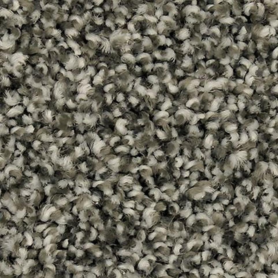 Textured Saxony Stone Path Gray Carpet