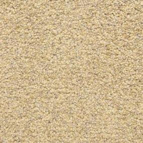Textured Saxony Sand Storm Beige/Tan Carpet