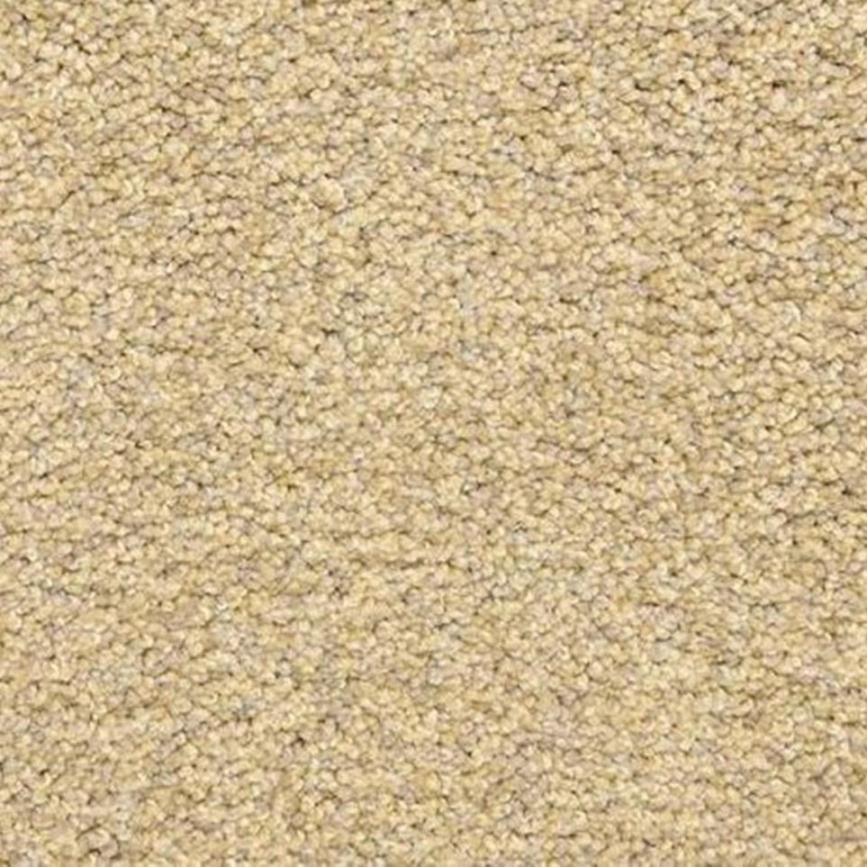 Textured Saxony Sand Storm Beige/Tan Carpet