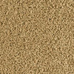 Textured Saxony Vapor Trail Yellow Carpet
