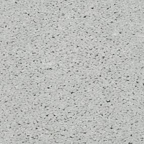 Textured Saxony Antique Silver Gray Carpet