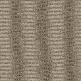 Loop Nature Trail Brown Carpet