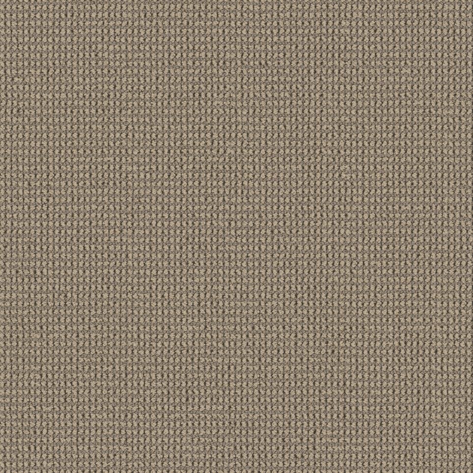 Loop Nature Trail Brown Carpet