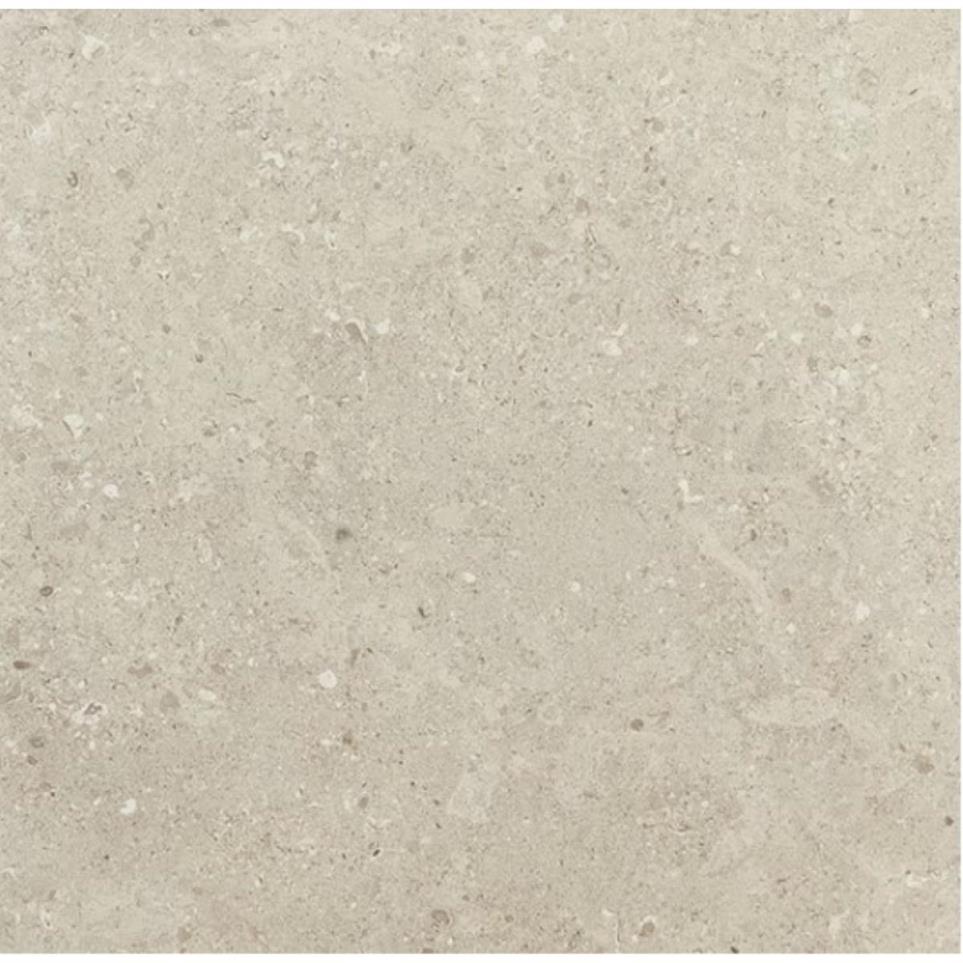 Tile Notable Beige Light Polished Beige/Tan Tile