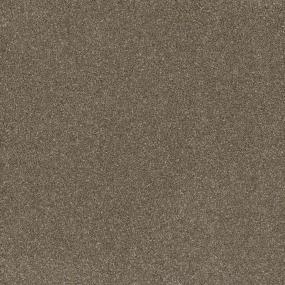 Textured Saxony Abode Beige/Tan Carpet