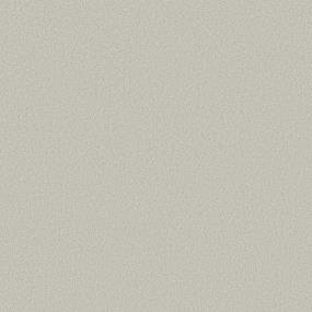 Texture Vapor Gray Carpet