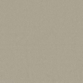 Textured Saxony Bone Beige/Tan Carpet
