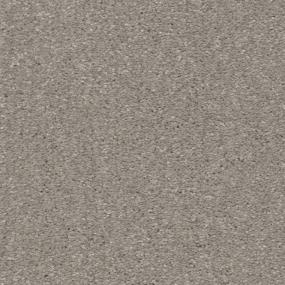 Textured Saxony Minimal Gray Carpet