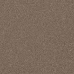 Textured Saxony Trail Blazer Brown Carpet