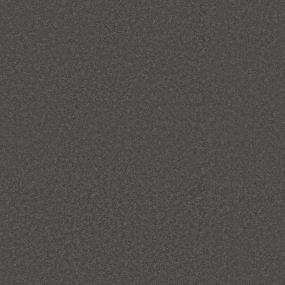 Plush Saxony Stone Walk Brown Carpet