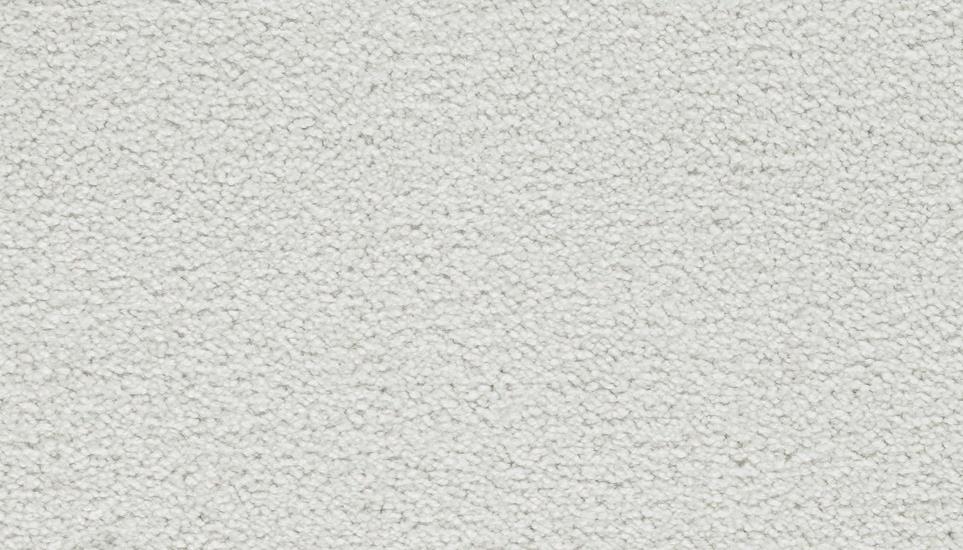Textured Saxony Snow Slide Gray Carpet