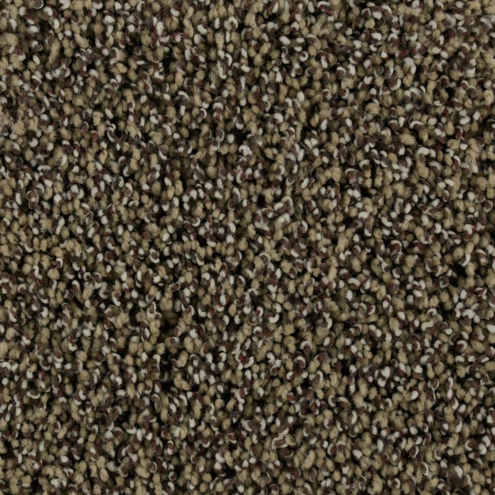 Texture Bridle Brown Carpet