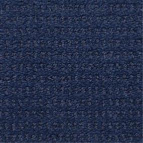 Pattern Midnight Blue Blue Carpet