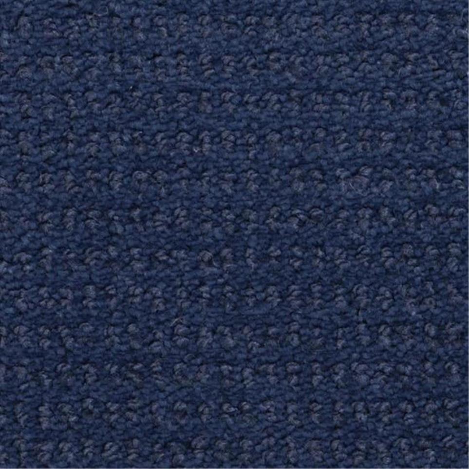 Pattern Midnight Blue Blue Carpet