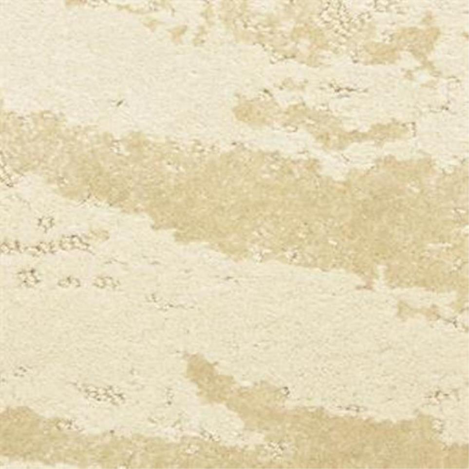 Pattern Felidae Beige/Tan Carpet